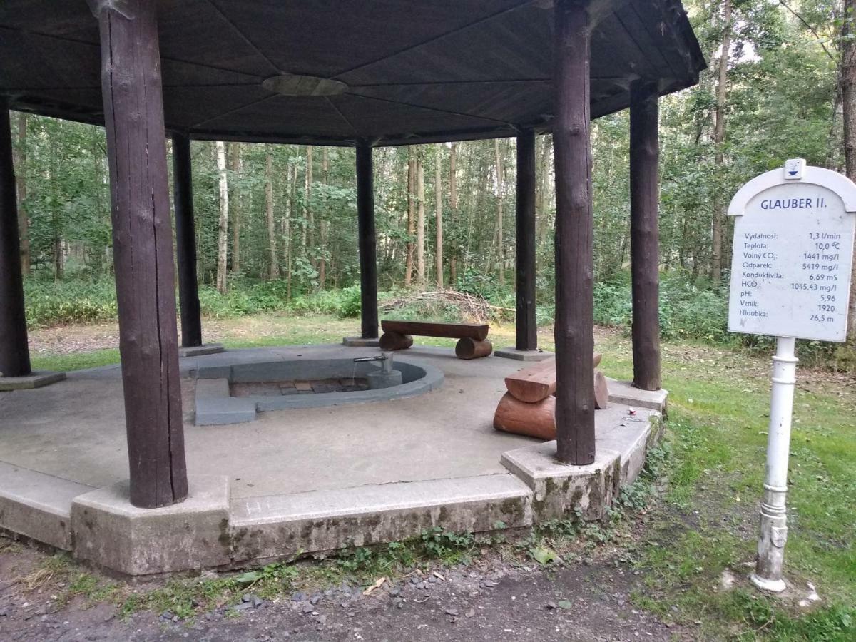 Apartments Ceska Františkovy Lázně Buitenkant foto